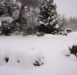 snow-november2010-013.jpg