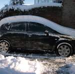 snow-november2010-032.jpg