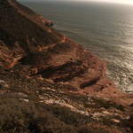 australia2011 080.jpg