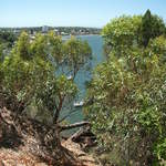 australia2011 134.jpg