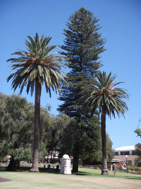australia2011 171.jpg