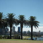 australia2011 174.jpg