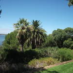 australia2011 178.jpg