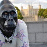 Bristol Wow Gorillas Visit London