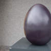 Eneggmatic Egg