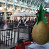 078 - Egg Disguised as a Pineapple