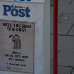 Bristol-Post.jpg