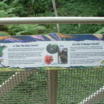 Another informational/educational sign for the Rainforest