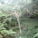 Landscape photo taken at El Portal Tropical Forest Center