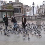 Woman being attacked by pigeons in Trafalgar Square