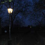 Hyde Park at night
