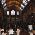 The Central Hall in the Life Galleries