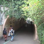 Tunnel at London Zoo