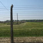 Fence at Birkenau
