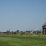 Fence at Birkenau