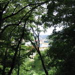 View through the trees on Petřín Hill