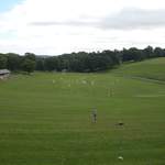 Cricket in Roundhay Park