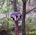 Red squirrel feeding station at Shap Wells too wet for squirrels though