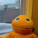 Zippy posing from his window seat on board the plane