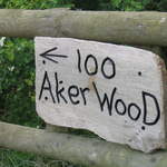 100-Acre Wood