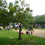 Book trees in Queen Square