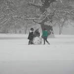 Kids building snowman in Cassiobury Park