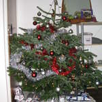 Our tree, with presents