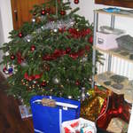 Christmas2004 038.jpg