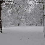 Cassiobury Park in the snow