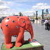 The City in the Elephant