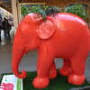 Tommy Hilfigger Red Elephant