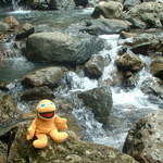Its a small waterfall but its still breathtaking to Zippy