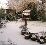 Snowy Sussex - November 2010