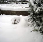 snow-november2010-033.jpg