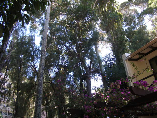 australia2011 211.jpg