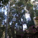 australia2011 211.jpg