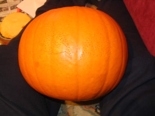 Halloween2004 004.jpg