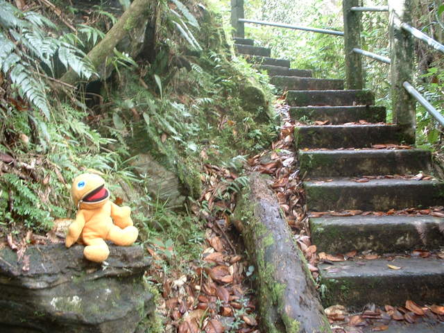 Taking yet another break, only this time its from hiking back up from the falls