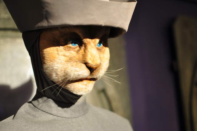 DSC_0109.JPG