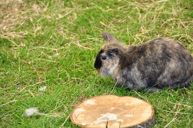 DSC_0459.JPG