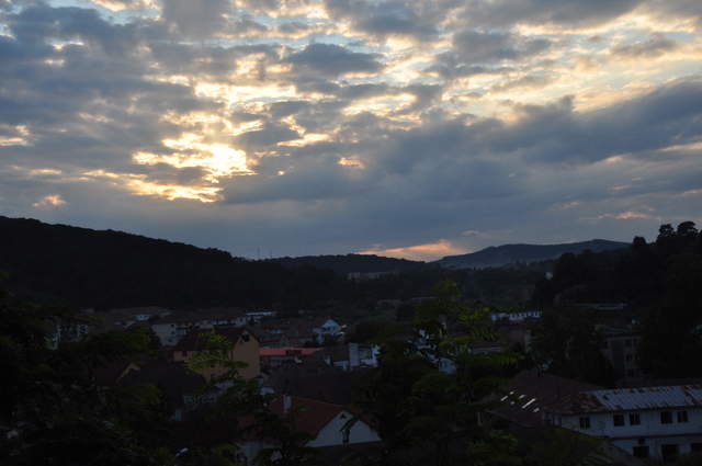 DSC_0319.JPG