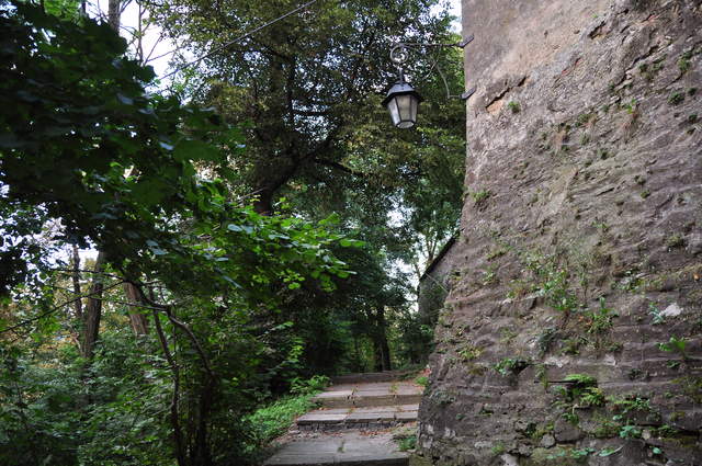 DSC_0332.JPG