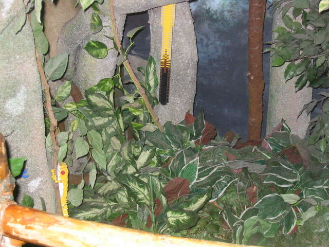legoland 027.jpg