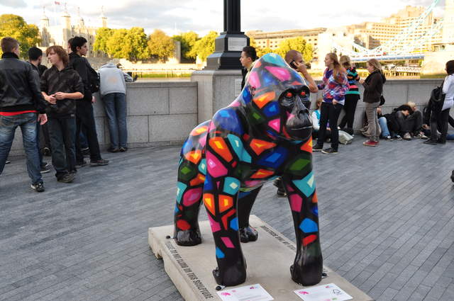 Pattern Gorilla