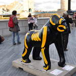 Gorilla Skelena