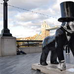 Gorisambard