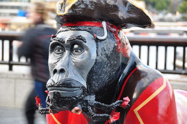 Blackbeardorilla