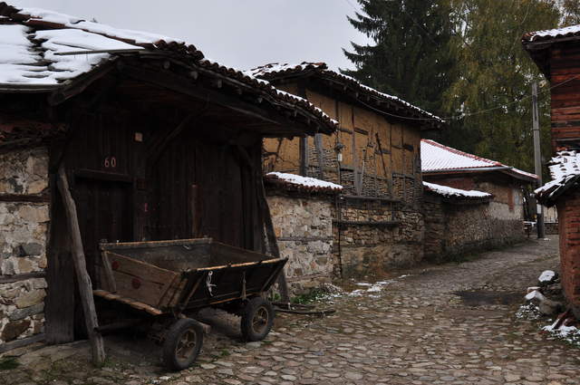 DSC_0261.JPG