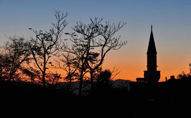 DSC_0504.jpg