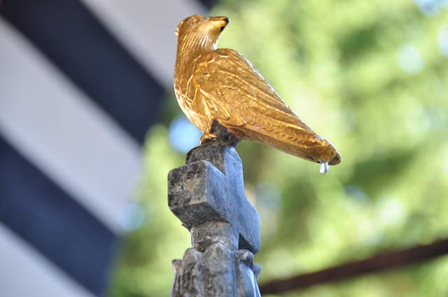 DSC_0630.JPG